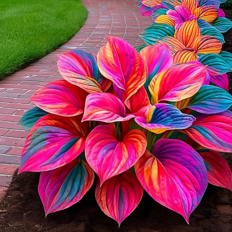 /69a01d91ba823d0008e68fea/2026/04/14/product-img-69ddedfbf707c0639afa48af.png